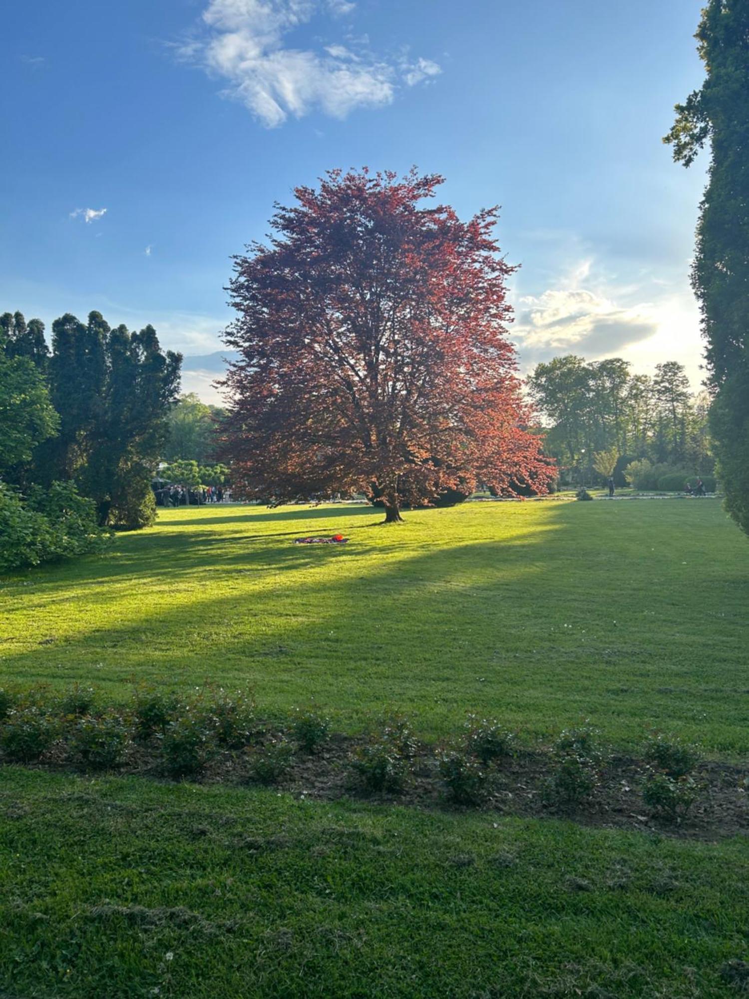 Vila Drina Apartments Banja Koviljača 외부 사진